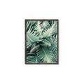 Picture of Green Ferns _GroupedProduct_Rectangle_Portrait_Photography _GroupedProduct_Rectangle_Portrait_Canvas_Framed_