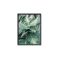 Picture of Green Ferns _GroupedProduct_Rectangle_Portrait_Photography _GroupedProduct_Rectangle_Portrait_Canvas_Framed_