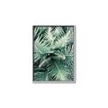 Picture of Green Ferns _GroupedProduct_Rectangle_Portrait_Photography _GroupedProduct_Rectangle_Portrait_Canvas_Framed_