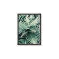 Picture of Green Ferns _GroupedProduct_Rectangle_Portrait_Photography _GroupedProduct_Rectangle_Portrait_Canvas_Framed_