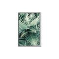 Picture of Green Ferns _GroupedProduct_Rectangle_Portrait_Photography _GroupedProduct_Rectangle_Portrait_Canvas_Framed_