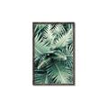 Picture of Green Ferns _GroupedProduct_Rectangle_Portrait_Photography _GroupedProduct_Rectangle_Portrait_Canvas_Framed_