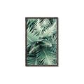 Picture of Green Ferns _GroupedProduct_Rectangle_Portrait_Photography _GroupedProduct_Rectangle_Portrait_Canvas_Framed_