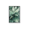Picture of Green Ferns _GroupedProduct_Rectangle_Portrait_Photography _GroupedProduct_Rectangle_Portrait_Canvas_Framed_