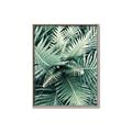 Picture of Green Ferns _GroupedProduct_Rectangle_Portrait_Photography _GroupedProduct_Rectangle_Portrait_Canvas_Framed_