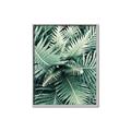 Picture of Green Ferns _GroupedProduct_Rectangle_Portrait_Photography _GroupedProduct_Rectangle_Portrait_Canvas_Framed_