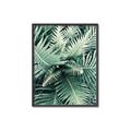 Picture of Green Ferns _GroupedProduct_Rectangle_Portrait_Photography _GroupedProduct_Rectangle_Portrait_Canvas_Framed_