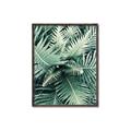 Picture of Green Ferns _GroupedProduct_Rectangle_Portrait_Photography _GroupedProduct_Rectangle_Portrait_Canvas_Framed_