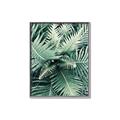 Picture of Green Ferns _GroupedProduct_Rectangle_Portrait_Photography _GroupedProduct_Rectangle_Portrait_Canvas_Framed_