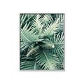 Picture of Green Ferns _GroupedProduct_Rectangle_Portrait_Photography _GroupedProduct_Rectangle_Portrait_Canvas_Framed_