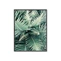 Picture of Green Ferns _GroupedProduct_Rectangle_Portrait_Photography _GroupedProduct_Rectangle_Portrait_Canvas_Framed_