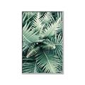 Picture of Green Ferns _GroupedProduct_Rectangle_Portrait_Photography _GroupedProduct_Rectangle_Portrait_Canvas_Framed_