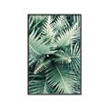 Picture of Green Ferns _GroupedProduct_Rectangle_Portrait_Photography _GroupedProduct_Rectangle_Portrait_Canvas_Framed_