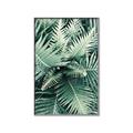 Picture of Green Ferns _GroupedProduct_Rectangle_Portrait_Photography _GroupedProduct_Rectangle_Portrait_Canvas_Framed_