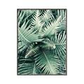Picture of Green Ferns _GroupedProduct_Rectangle_Portrait_Photography _GroupedProduct_Rectangle_Portrait_Canvas_Framed_