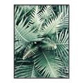 Picture of Green Ferns _GroupedProduct_Rectangle_Portrait_Photography _GroupedProduct_Rectangle_Portrait_Canvas_Framed_