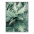 Picture of Green Ferns _GroupedProduct_Rectangle_Portrait_Photography _GroupedProduct_Rectangle_Portrait_Canvas_Framed_