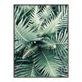 Picture of Green Ferns _GroupedProduct_Rectangle_Portrait_Photography _GroupedProduct_Rectangle_Portrait_Canvas_Framed_