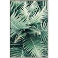 Picture of Green Ferns _GroupedProduct_Rectangle_Portrait_Photography _GroupedProduct_Rectangle_Portrait_Canvas_Framed_