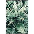 Picture of Green Ferns _GroupedProduct_Rectangle_Portrait_Photography _GroupedProduct_Rectangle_Portrait_Canvas_Framed_