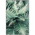 Picture of Green Ferns _GroupedProduct_Rectangle_Portrait_Photography _GroupedProduct_Rectangle_Portrait_Canvas_Framed_