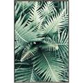 Picture of Green Ferns _GroupedProduct_Rectangle_Portrait_Photography _GroupedProduct_Rectangle_Portrait_Canvas_Framed_