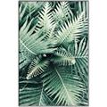 Picture of Green Ferns _GroupedProduct_Rectangle_Portrait_Photography _GroupedProduct_Rectangle_Portrait_Canvas_Framed_