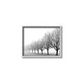 Picture of Lined Up Trees _GroupedProduct_Rectangle_Landscape_Photography _GroupedProduct_Rectangle_Landscape_Canvas_Framed_
