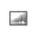 Picture of Lined Up Trees _GroupedProduct_Rectangle_Landscape_Photography _GroupedProduct_Rectangle_Landscape_Canvas_Framed_