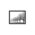 Picture of Lined Up Trees _GroupedProduct_Rectangle_Landscape_Photography _GroupedProduct_Rectangle_Landscape_Canvas_Framed_