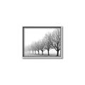 Picture of Lined Up Trees _GroupedProduct_Rectangle_Landscape_Photography _GroupedProduct_Rectangle_Landscape_Canvas_Framed_