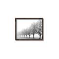 Picture of Lined Up Trees _GroupedProduct_Rectangle_Landscape_Photography _GroupedProduct_Rectangle_Landscape_Canvas_Framed_