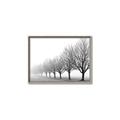 Picture of Lined Up Trees _GroupedProduct_Rectangle_Landscape_Photography _GroupedProduct_Rectangle_Landscape_Canvas_Framed_