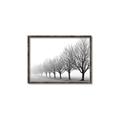 Picture of Lined Up Trees _GroupedProduct_Rectangle_Landscape_Photography _GroupedProduct_Rectangle_Landscape_Canvas_Framed_