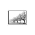 Picture of Lined Up Trees _GroupedProduct_Rectangle_Landscape_Photography _GroupedProduct_Rectangle_Landscape_Canvas_Framed_