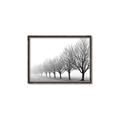 Picture of Lined Up Trees _GroupedProduct_Rectangle_Landscape_Photography _GroupedProduct_Rectangle_Landscape_Canvas_Framed_