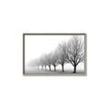 Picture of Lined Up Trees _GroupedProduct_Rectangle_Landscape_Photography _GroupedProduct_Rectangle_Landscape_Canvas_Framed_