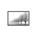 Picture of Lined Up Trees _GroupedProduct_Rectangle_Landscape_Photography _GroupedProduct_Rectangle_Landscape_Canvas_Framed_
