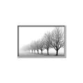 Picture of Lined Up Trees _GroupedProduct_Rectangle_Landscape_Photography _GroupedProduct_Rectangle_Landscape_Canvas_Framed_