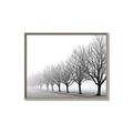 Picture of Lined Up Trees _GroupedProduct_Rectangle_Landscape_Photography _GroupedProduct_Rectangle_Landscape_Canvas_Framed_