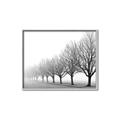 Picture of Lined Up Trees _GroupedProduct_Rectangle_Landscape_Photography _GroupedProduct_Rectangle_Landscape_Canvas_Framed_