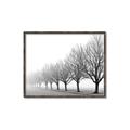 Picture of Lined Up Trees _GroupedProduct_Rectangle_Landscape_Photography _GroupedProduct_Rectangle_Landscape_Canvas_Framed_