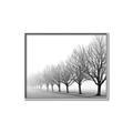 Picture of Lined Up Trees _GroupedProduct_Rectangle_Landscape_Photography _GroupedProduct_Rectangle_Landscape_Canvas_Framed_
