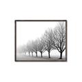 Picture of Lined Up Trees _GroupedProduct_Rectangle_Landscape_Photography _GroupedProduct_Rectangle_Landscape_Canvas_Framed_