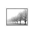 Picture of Lined Up Trees _GroupedProduct_Rectangle_Landscape_Photography _GroupedProduct_Rectangle_Landscape_Canvas_Framed_