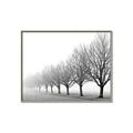 Picture of Lined Up Trees _GroupedProduct_Rectangle_Landscape_Photography _GroupedProduct_Rectangle_Landscape_Canvas_Framed_