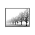 Picture of Lined Up Trees _GroupedProduct_Rectangle_Landscape_Photography _GroupedProduct_Rectangle_Landscape_Canvas_Framed_