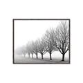 Picture of Lined Up Trees _GroupedProduct_Rectangle_Landscape_Photography _GroupedProduct_Rectangle_Landscape_Canvas_Framed_