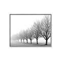 Picture of Lined Up Trees _GroupedProduct_Rectangle_Landscape_Photography _GroupedProduct_Rectangle_Landscape_Canvas_Framed_