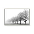 Picture of Lined Up Trees _GroupedProduct_Rectangle_Landscape_Photography _GroupedProduct_Rectangle_Landscape_Canvas_Framed_